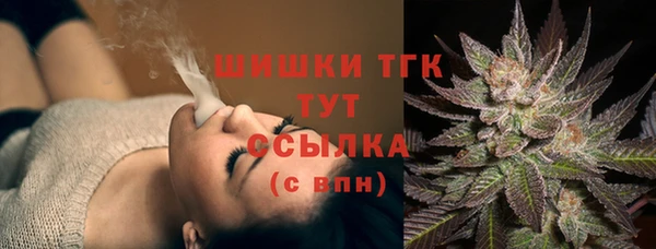 прущие крисы Белокуриха