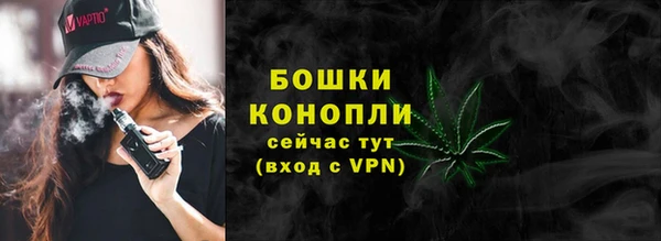 прущие крисы Белокуриха